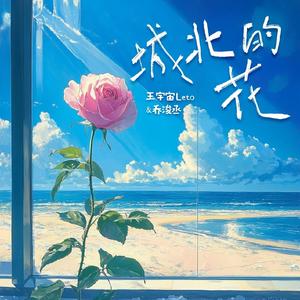 赤裸航空女服务员√视频
