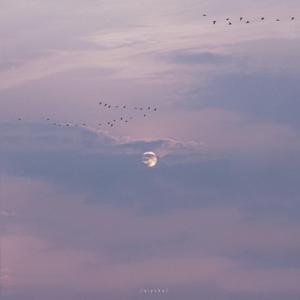 赤裸航空女服务员√视频
